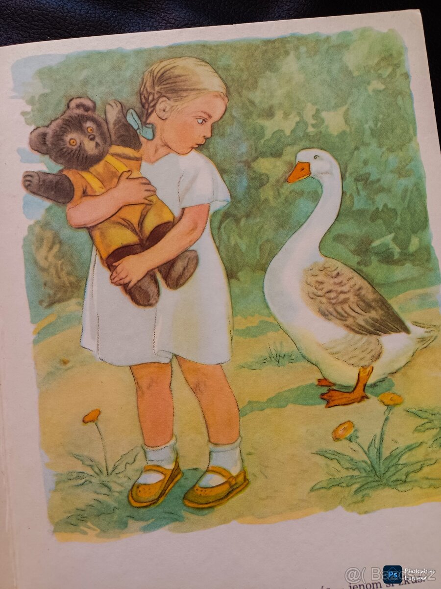 Kniha MŮJ MÍŠA rok vyd 1983, cena 399 Kč (16 €) i na Slovens - 2