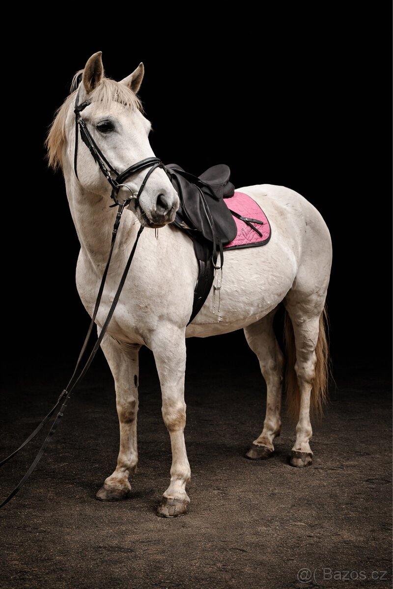 Částečný / plný pronájem - 2