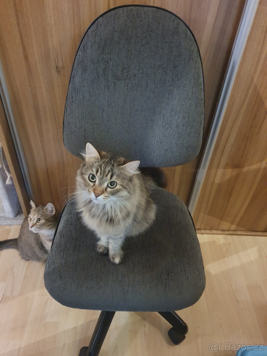 Kancelářská židle - 2