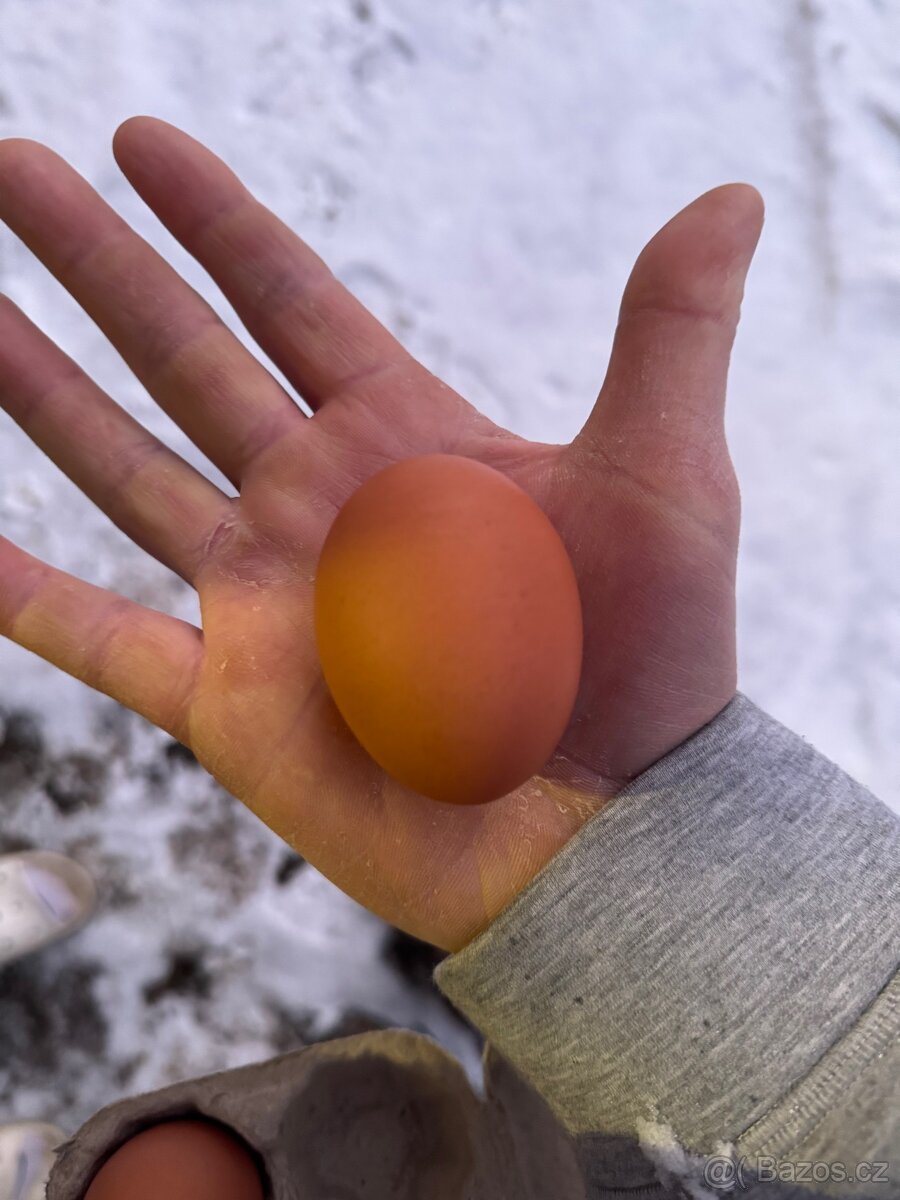 Domácí vajíčka - 2