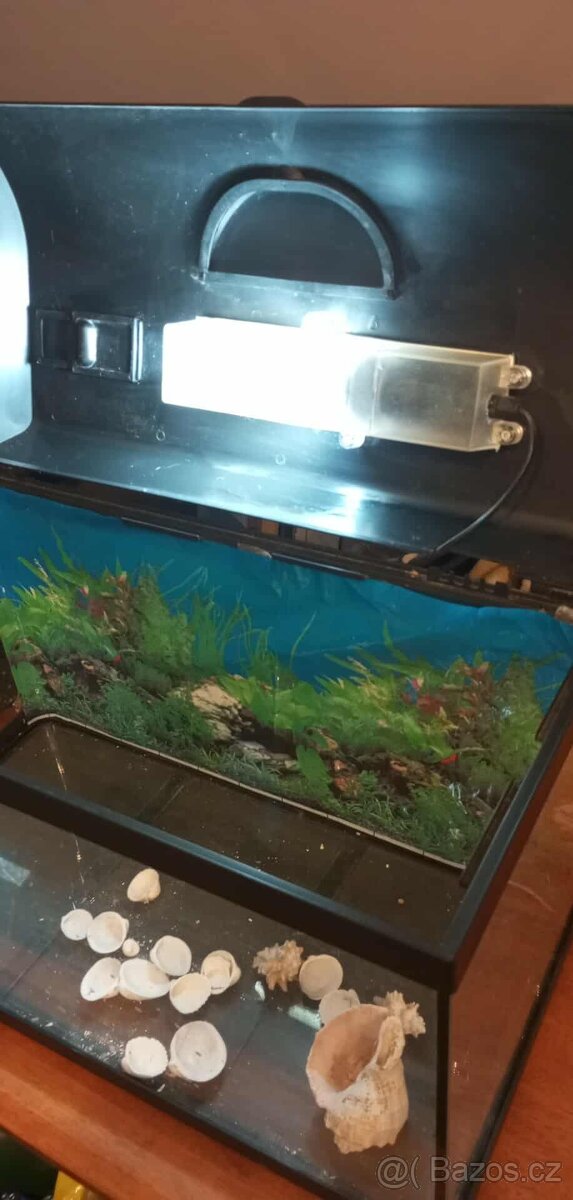 Akvárium box 60 x 30 x 30 - 54 l - 2