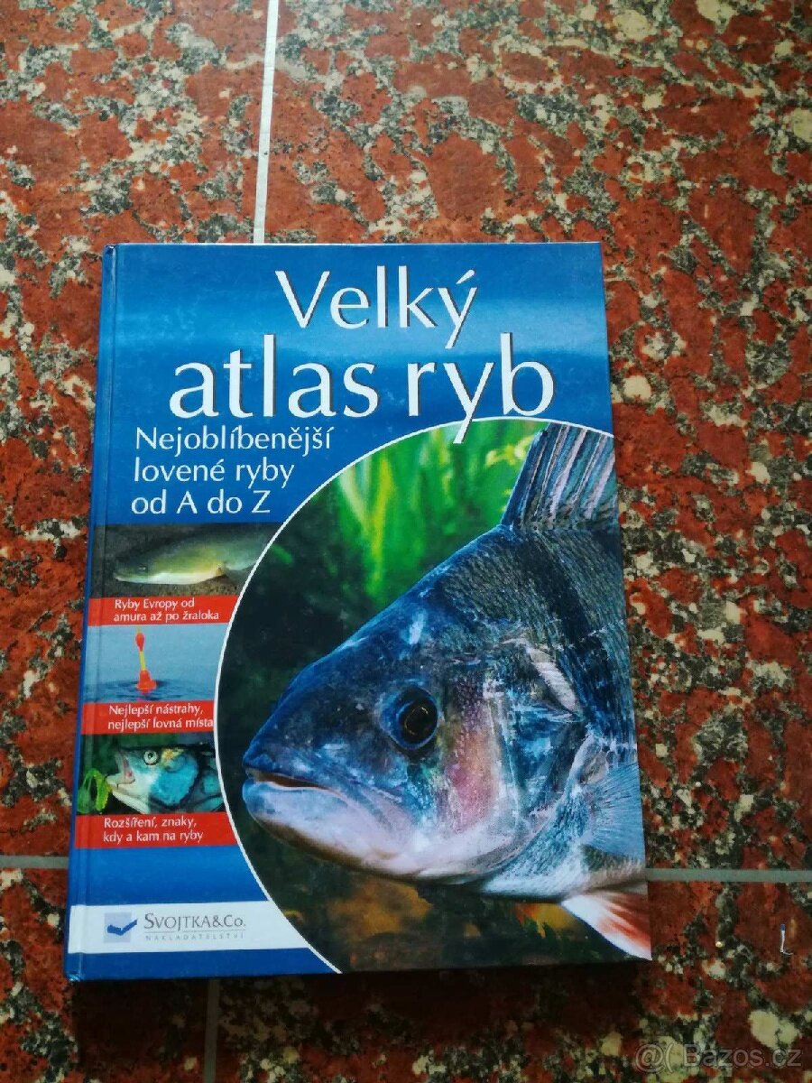 Holubi osli ryby koně ptáci včely - 2