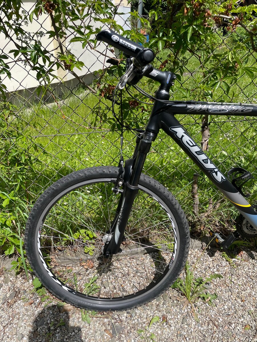 Kolo Kelly’s Magic - 2