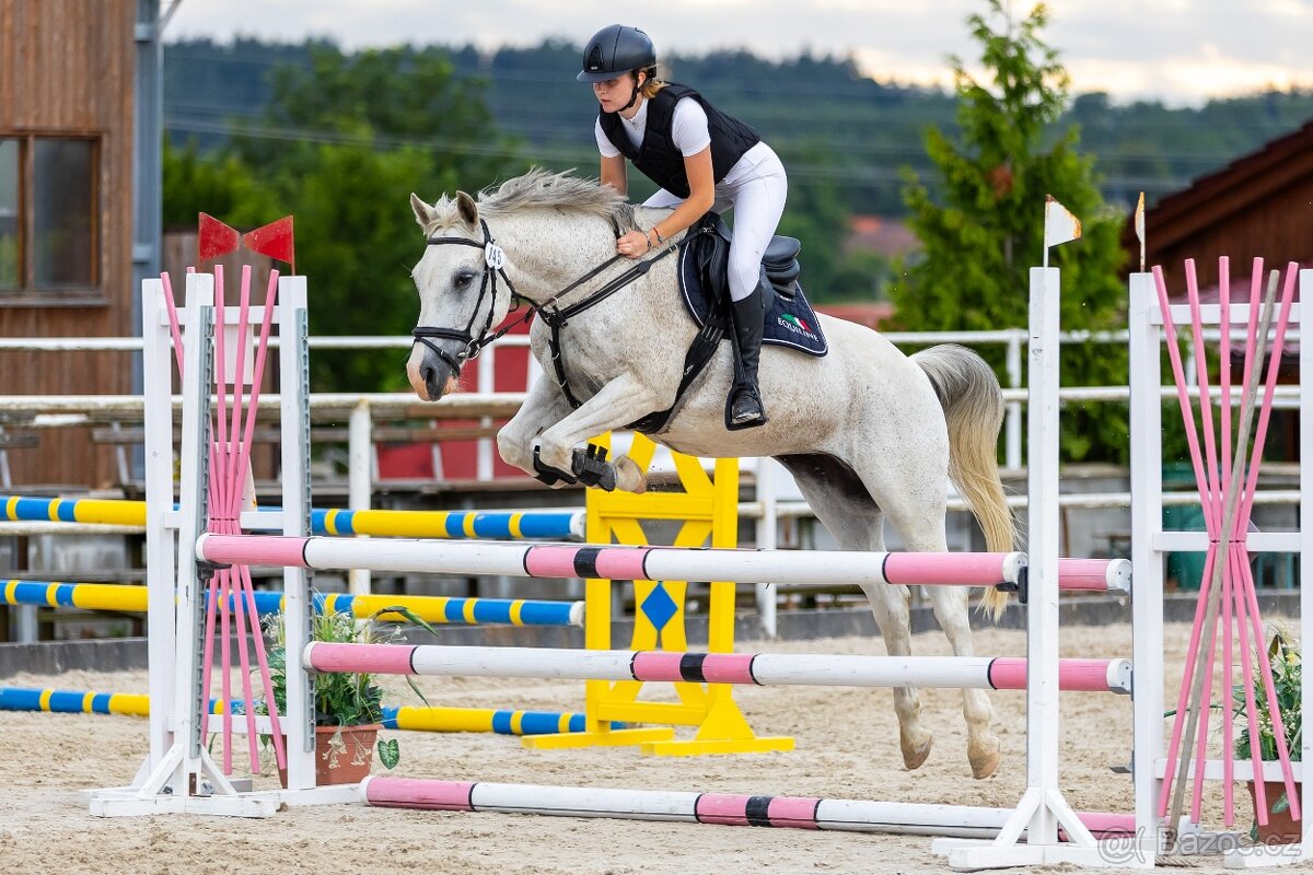 PONY TYP B NA PRODEJ - 2