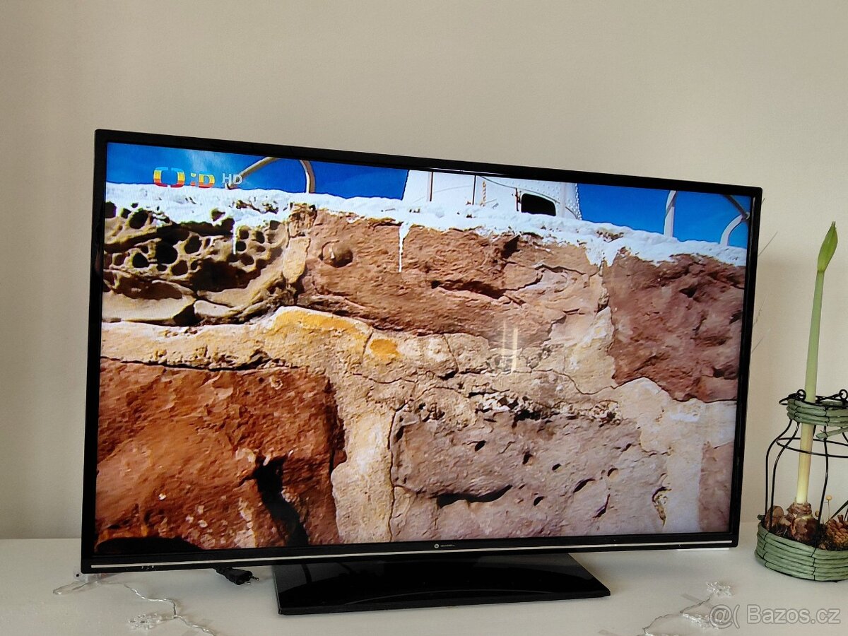 GOGEN TVF43P525T - 2