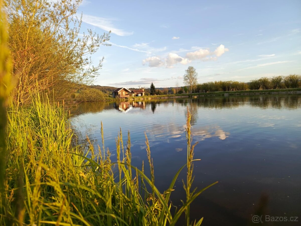 Živé ryby – tržní i okrasné | Volary (okr. Prachatice) - 2