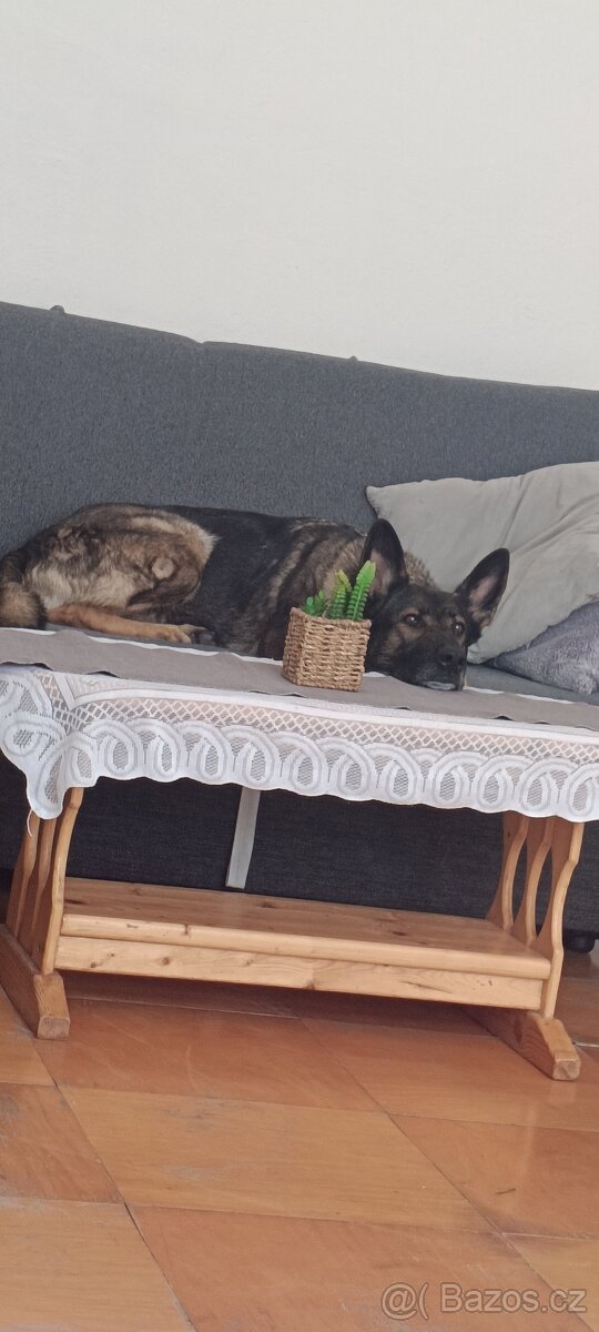 Do dobrých rukou - 2