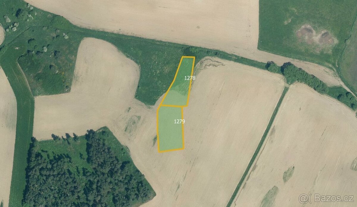 Zemědělská půda, prodej, Velký Bor, Klatovy - 2