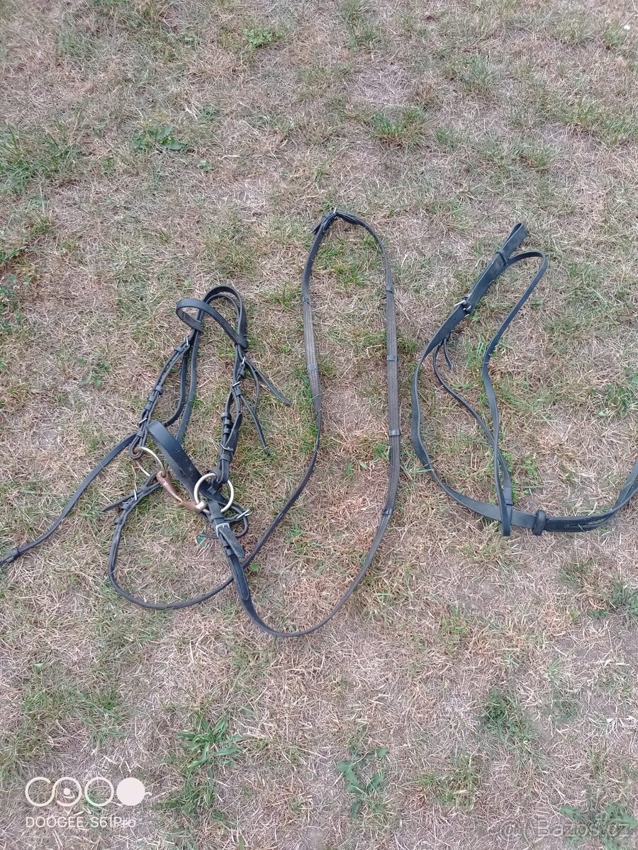 Uzdečka na poníka - 2