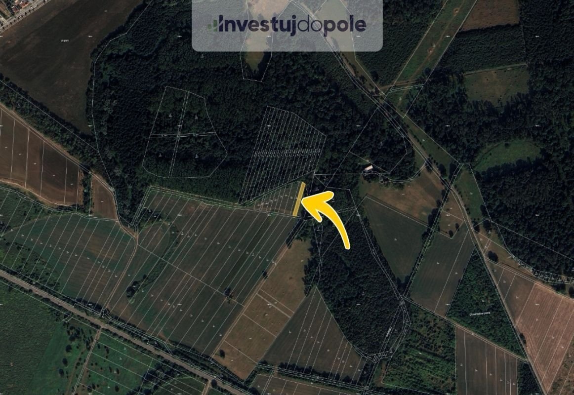 Prodej podílu 1/2 pole 571 m², Moravský Písek - 2