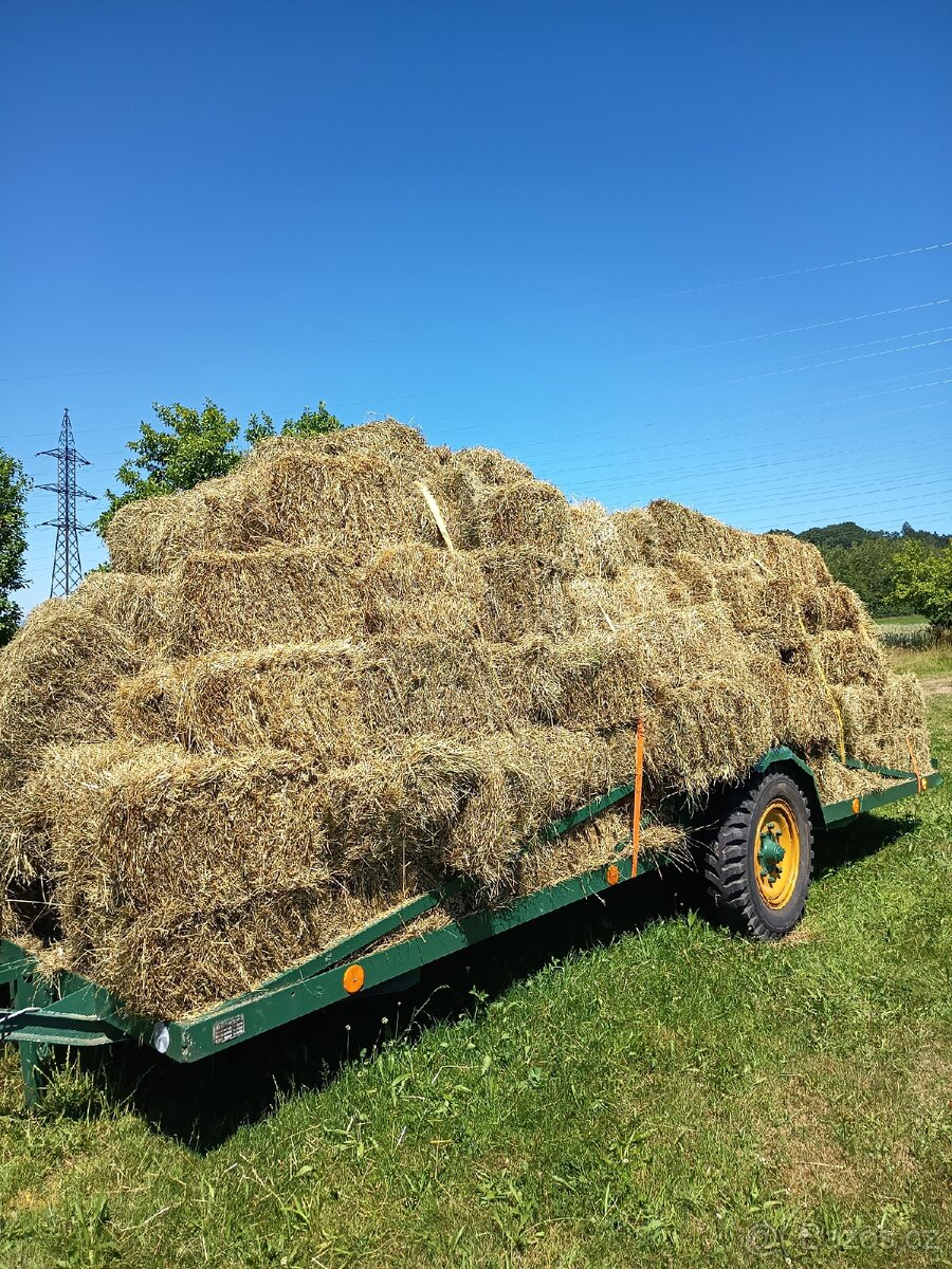 Prodám malé hranaté balíky sena - 2