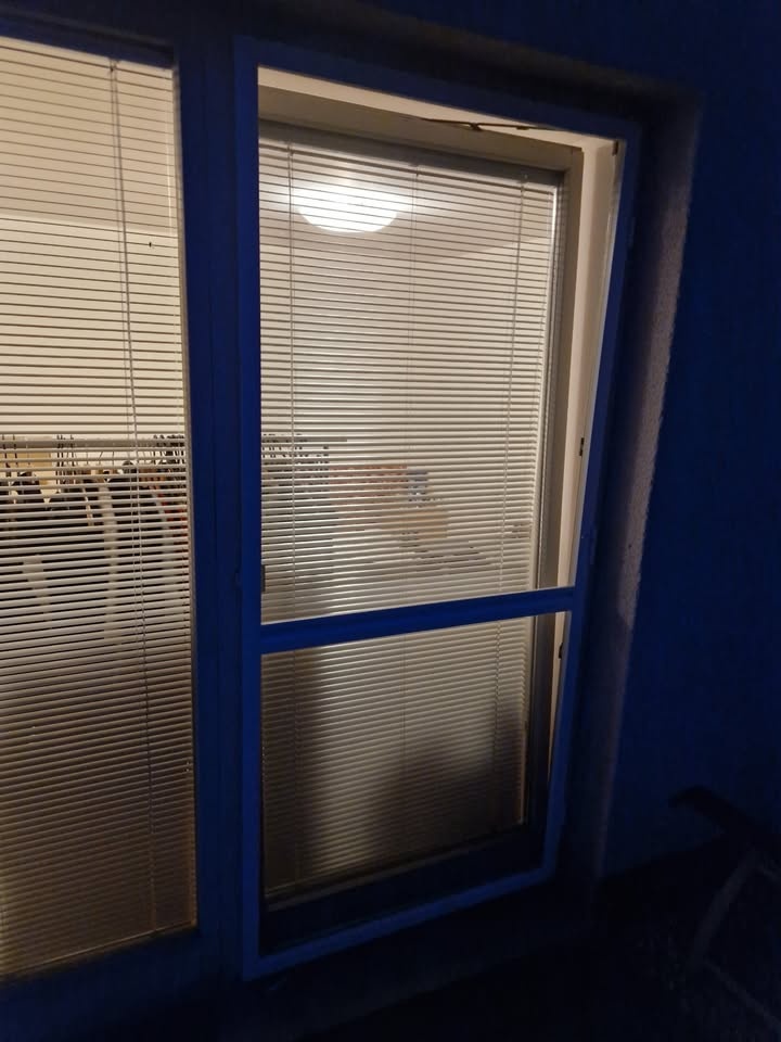 Sítě do oken - 2