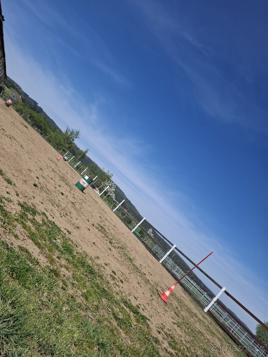 Ustájení u Dobříše - 2