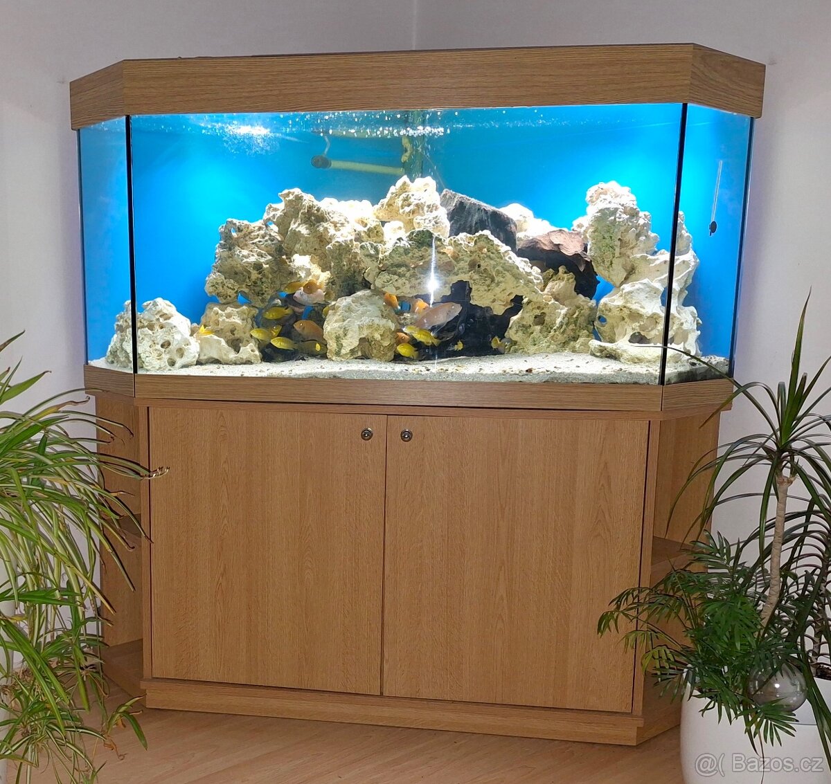 Akvárium rohové 350L - 2