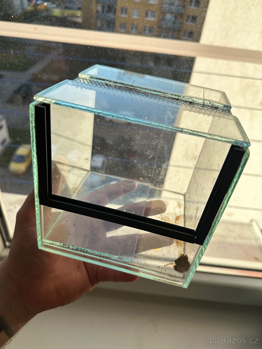 terarium 15x15x15 - 2