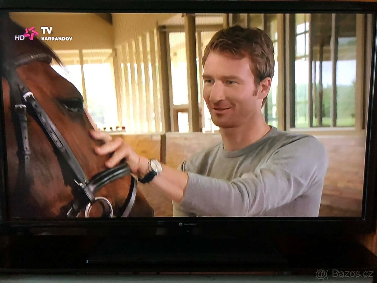 Televize gogen 32” 80cm - 2