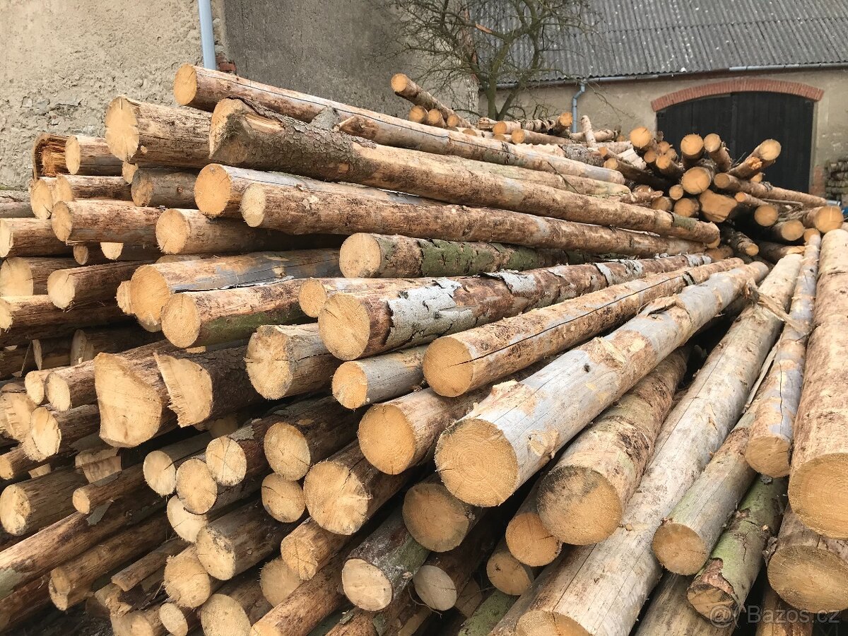 Prodám dřevěné kůly - 2