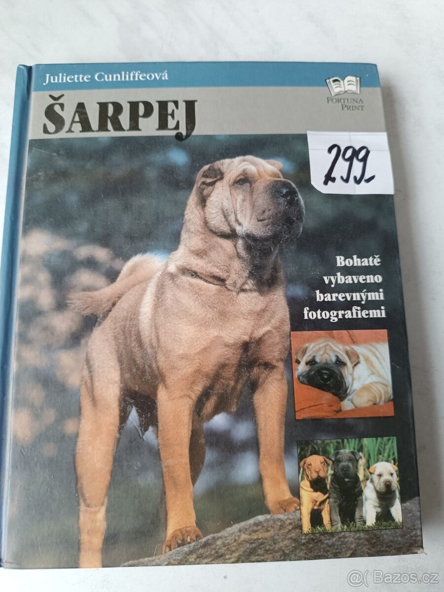 Čivava šarpej Leonberger Baset Dobrman - 2