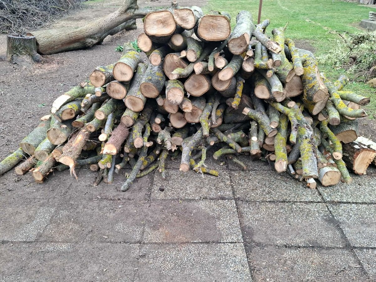 Ořechové dřevo - 2