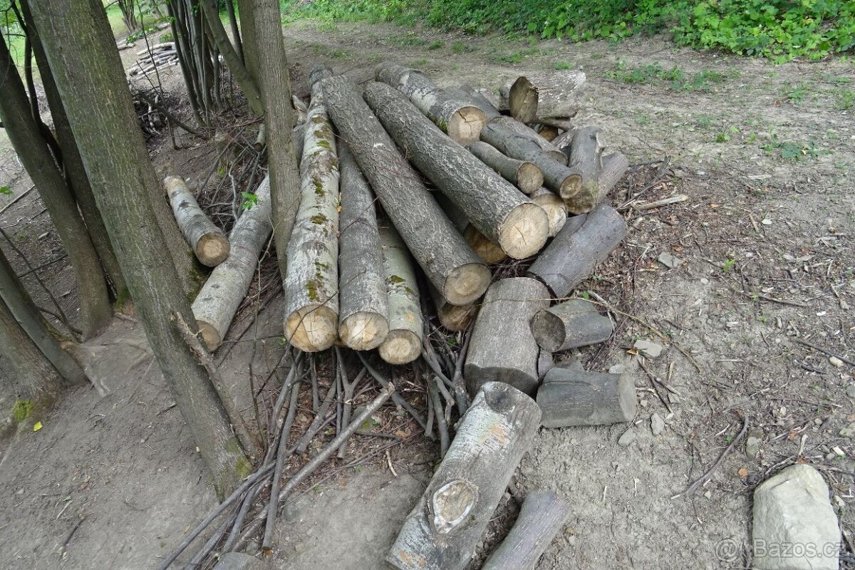 Palivové dřevo levně - 2