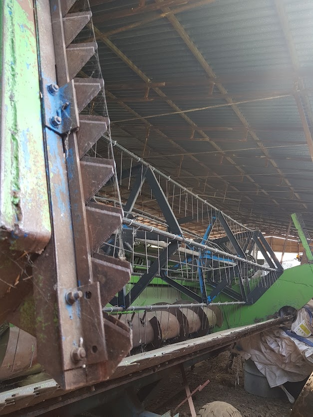 Řepkový předvál na E512 - 2