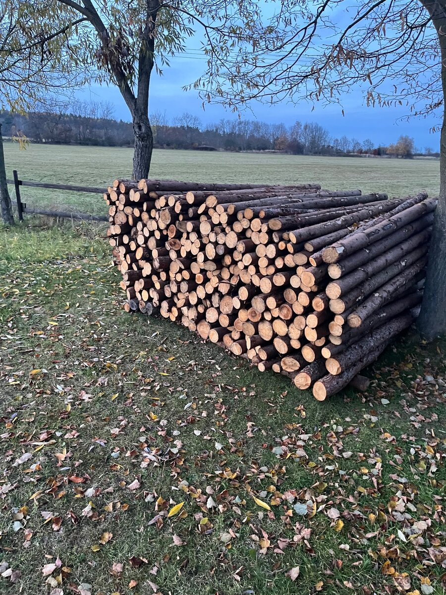 Prodám palivové dřevo - 2