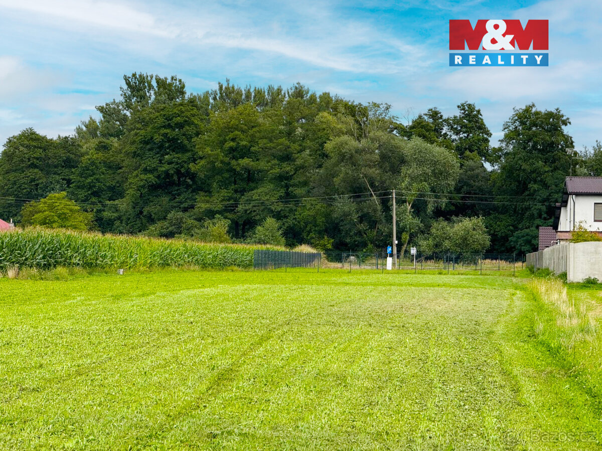 Prodej pozemku k bydlení, 4058 m², Dětmarovice - 2