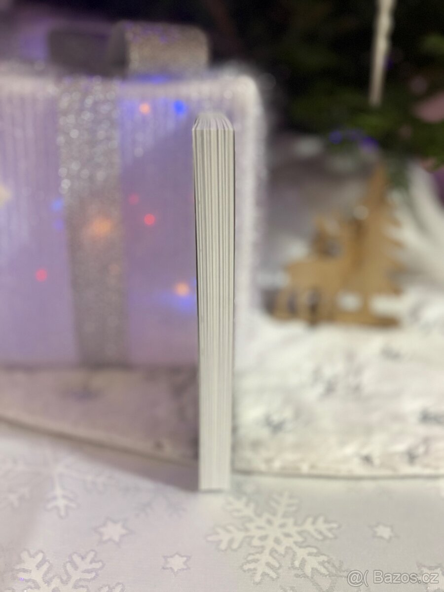 Jak přežili v dnešní době - 2