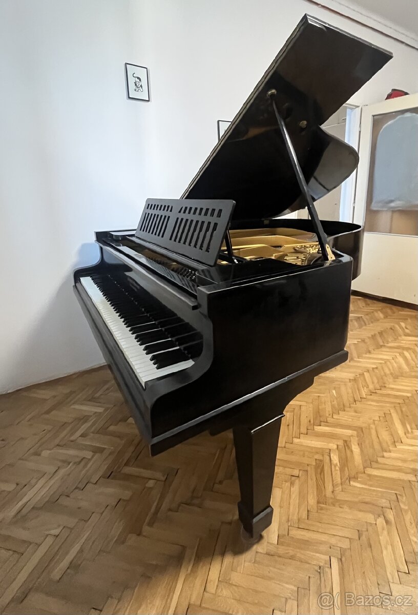 Klavírní křídlo - 2