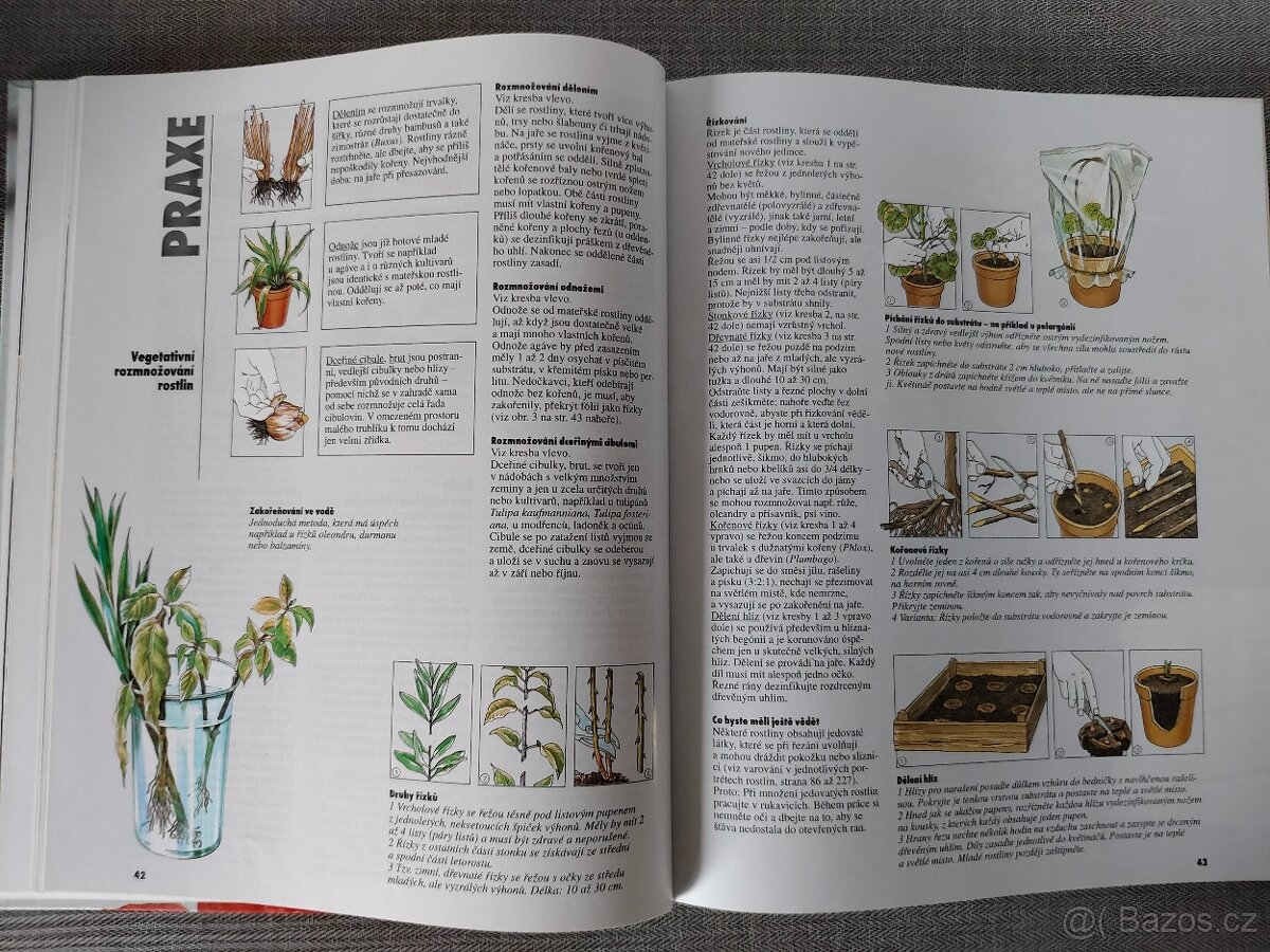 Kniha - Balkonové rostliny – JAKO NOVÁ - 2