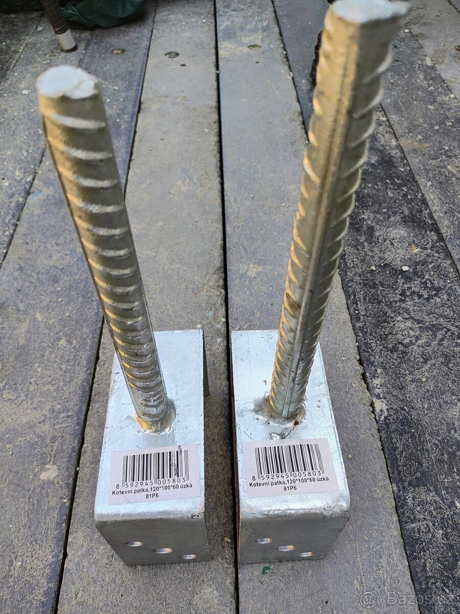 Kotevní patky úzké - 2