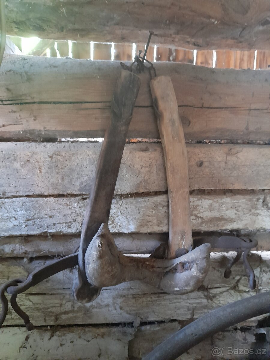 chomout na krávu - 2