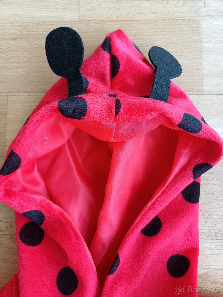 Karnevalový kostým BERUŠKA - 2