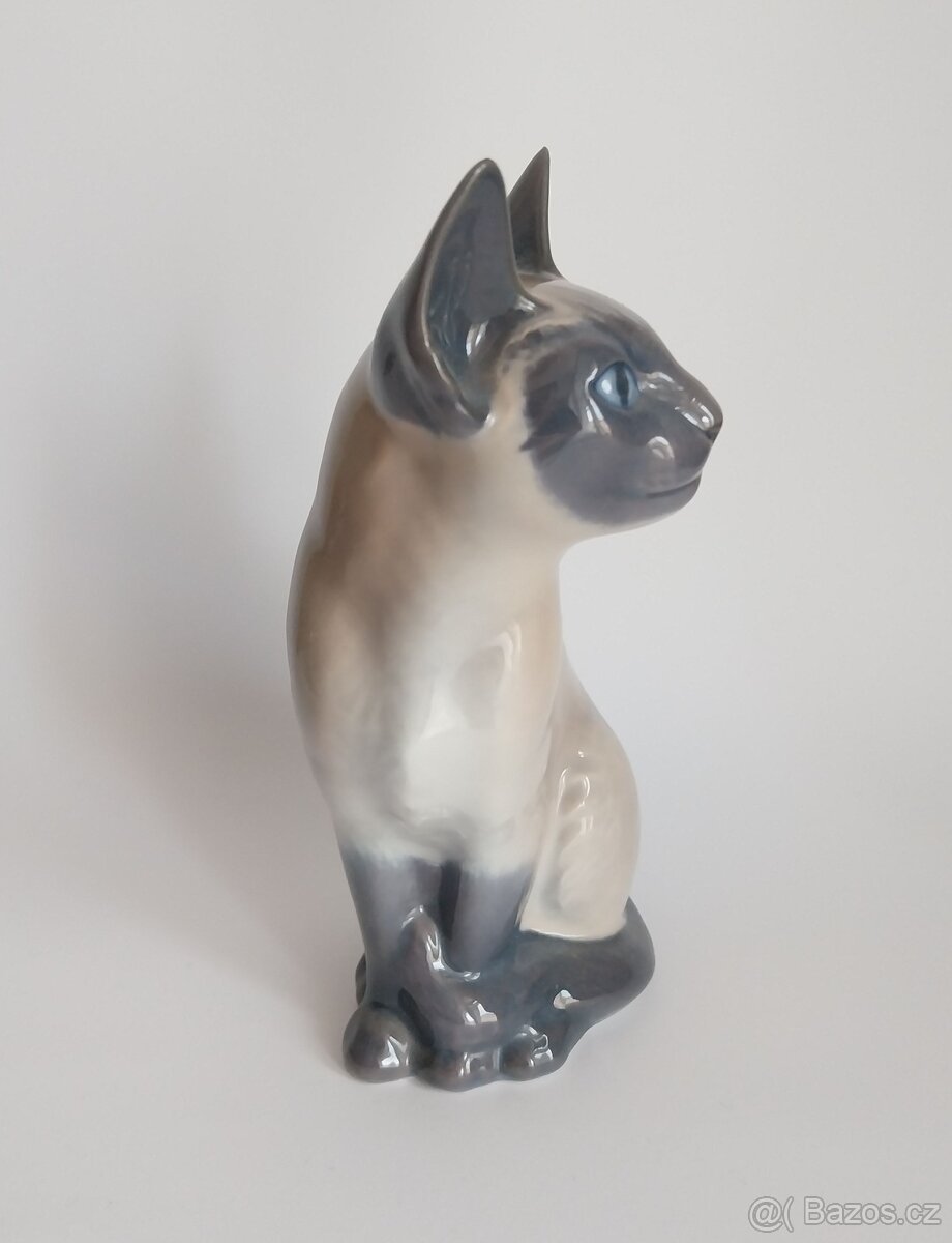 Královská Kodaň - siamská kočka - 2