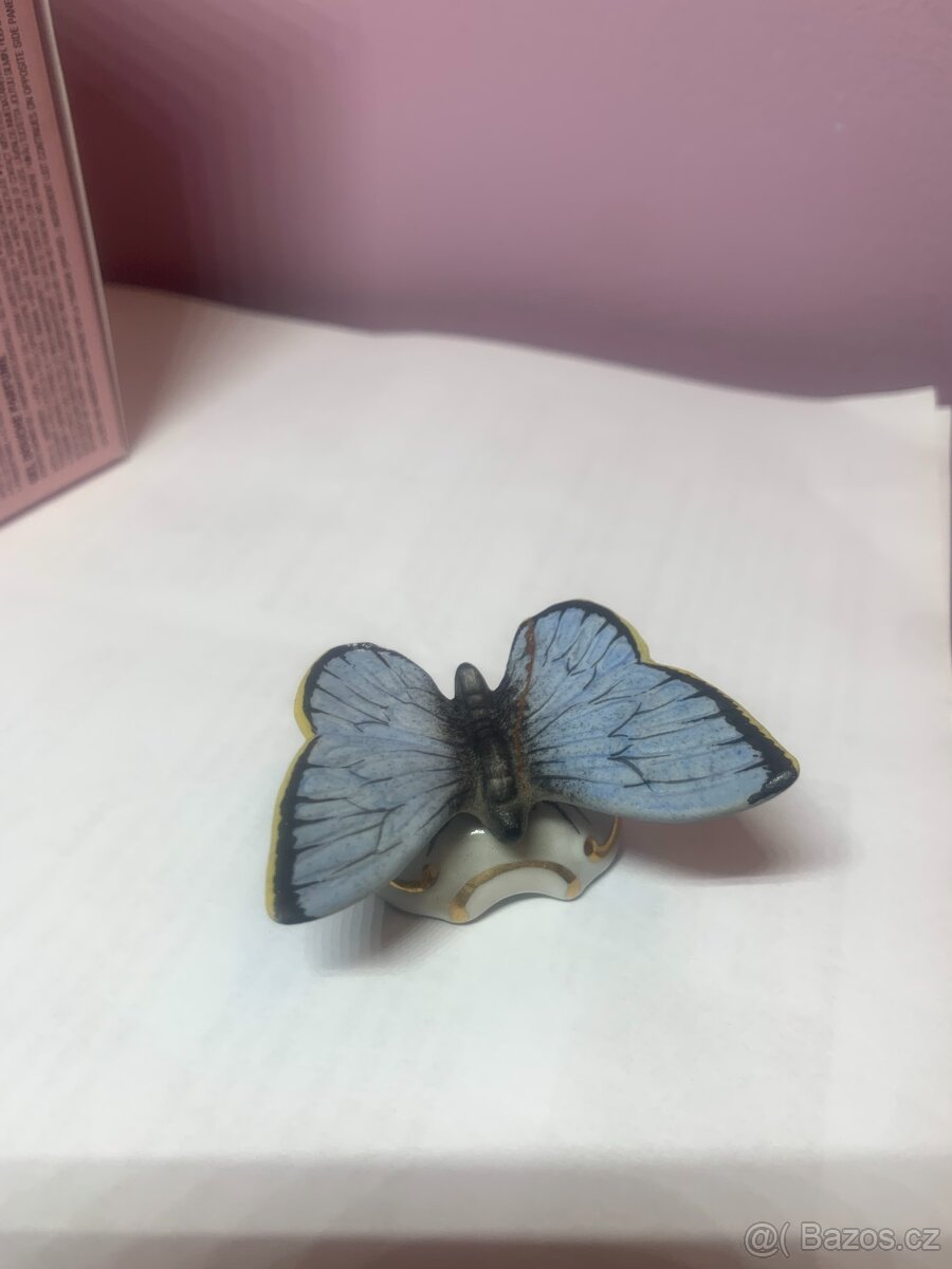 Motýl - ROYALE DUX (modrý) - 2