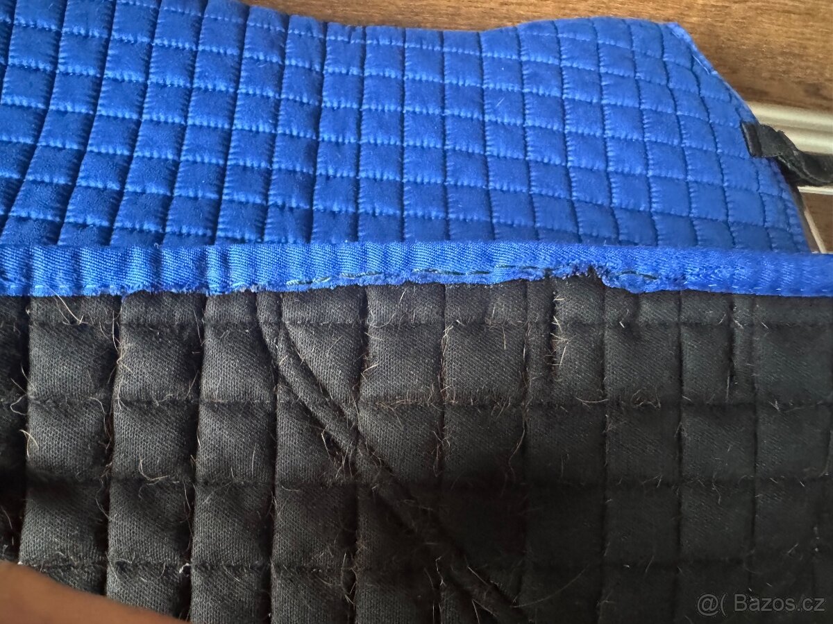 Lemieux drezurní - 2