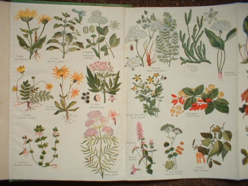 Domácí lékař léčení samostatné domácí - 2