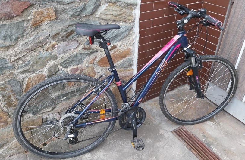 Dámské trekingové kolo 4ever Flame 16" - 2