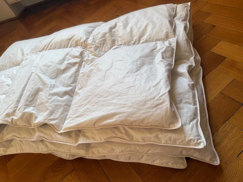 peřina péřová - 2