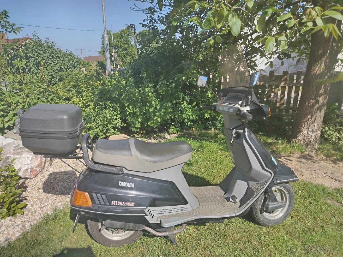 Yamaha Beluga Japonec - 2