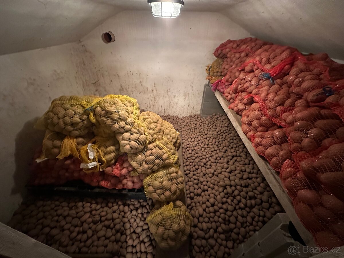 Brambory “BIO” na uskladnění - 2