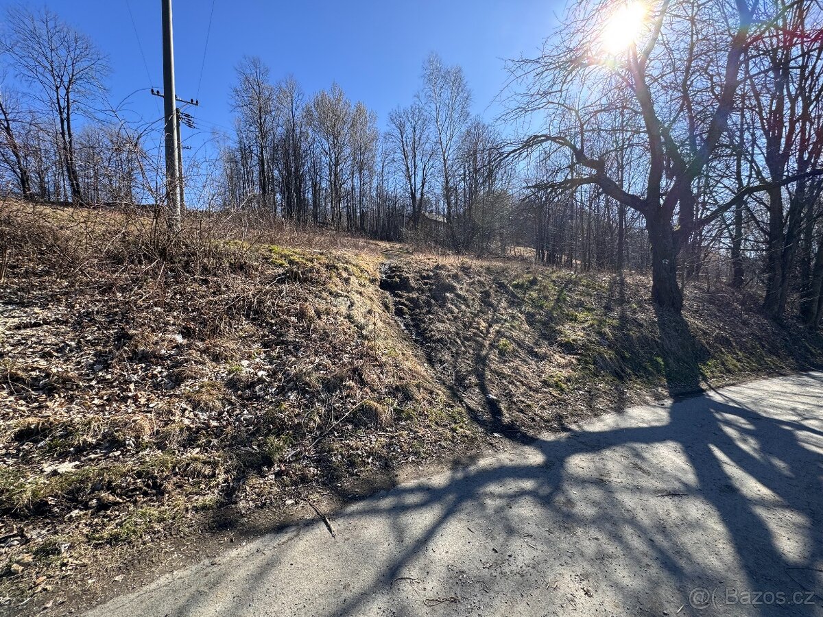 Prodej stavebního pozemku, 5589 m², U Sv. Rocha, Zlaté Hory. - 2