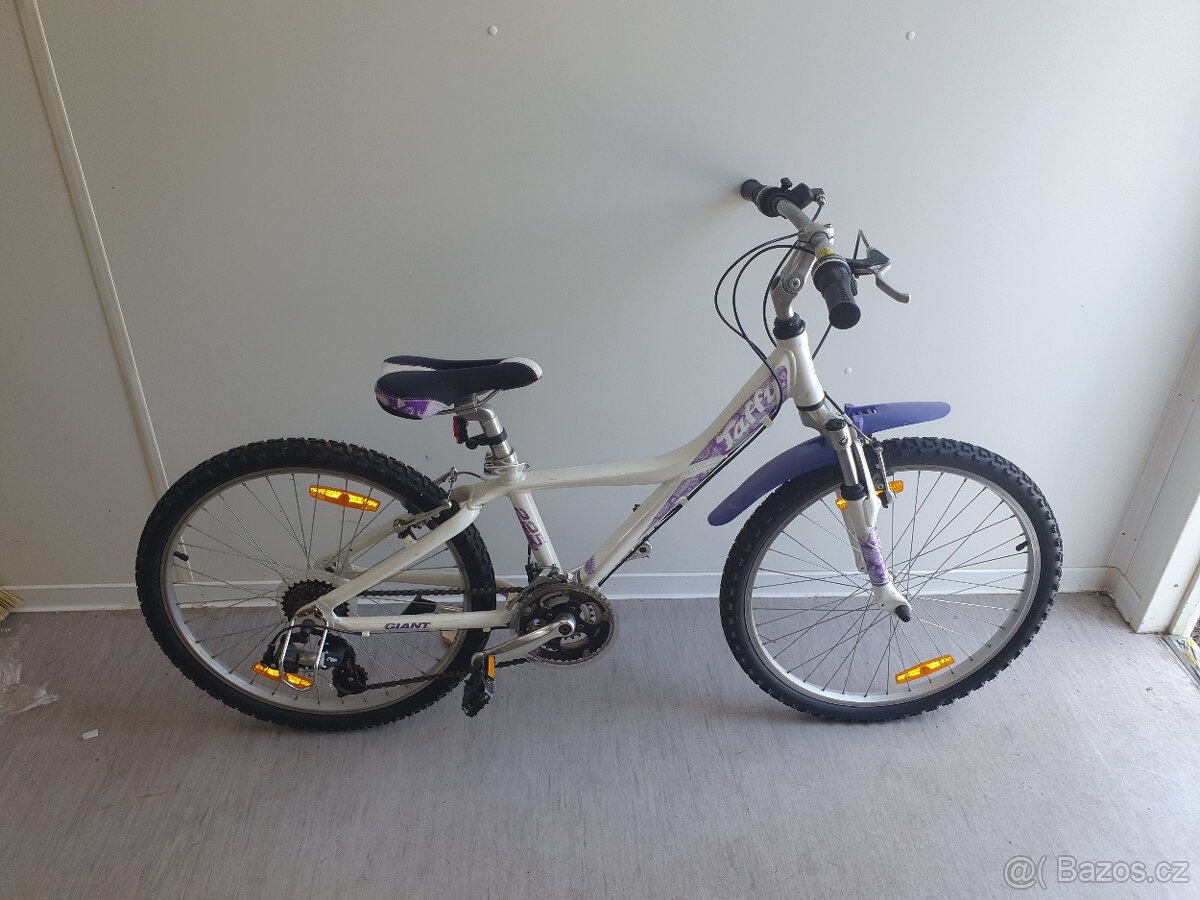 Prodám Giant TAFFY 225 FS - 2