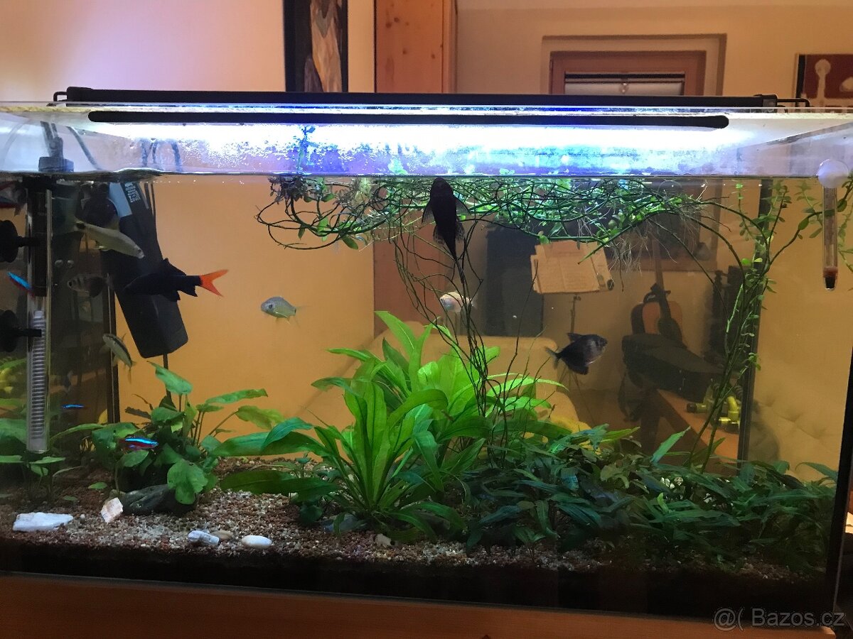 Prodám akvarium - 2
