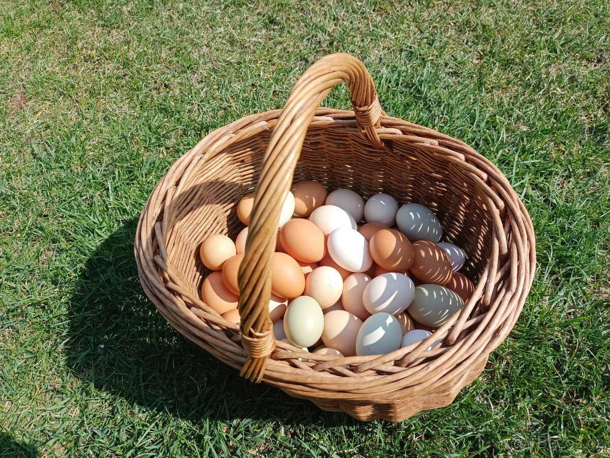 Přebytek domácích vajec - 2