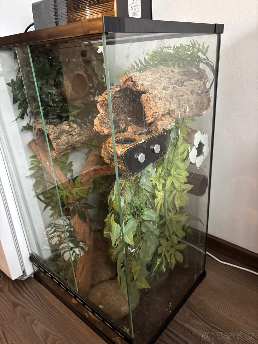 Terárium + pagekon - 2
