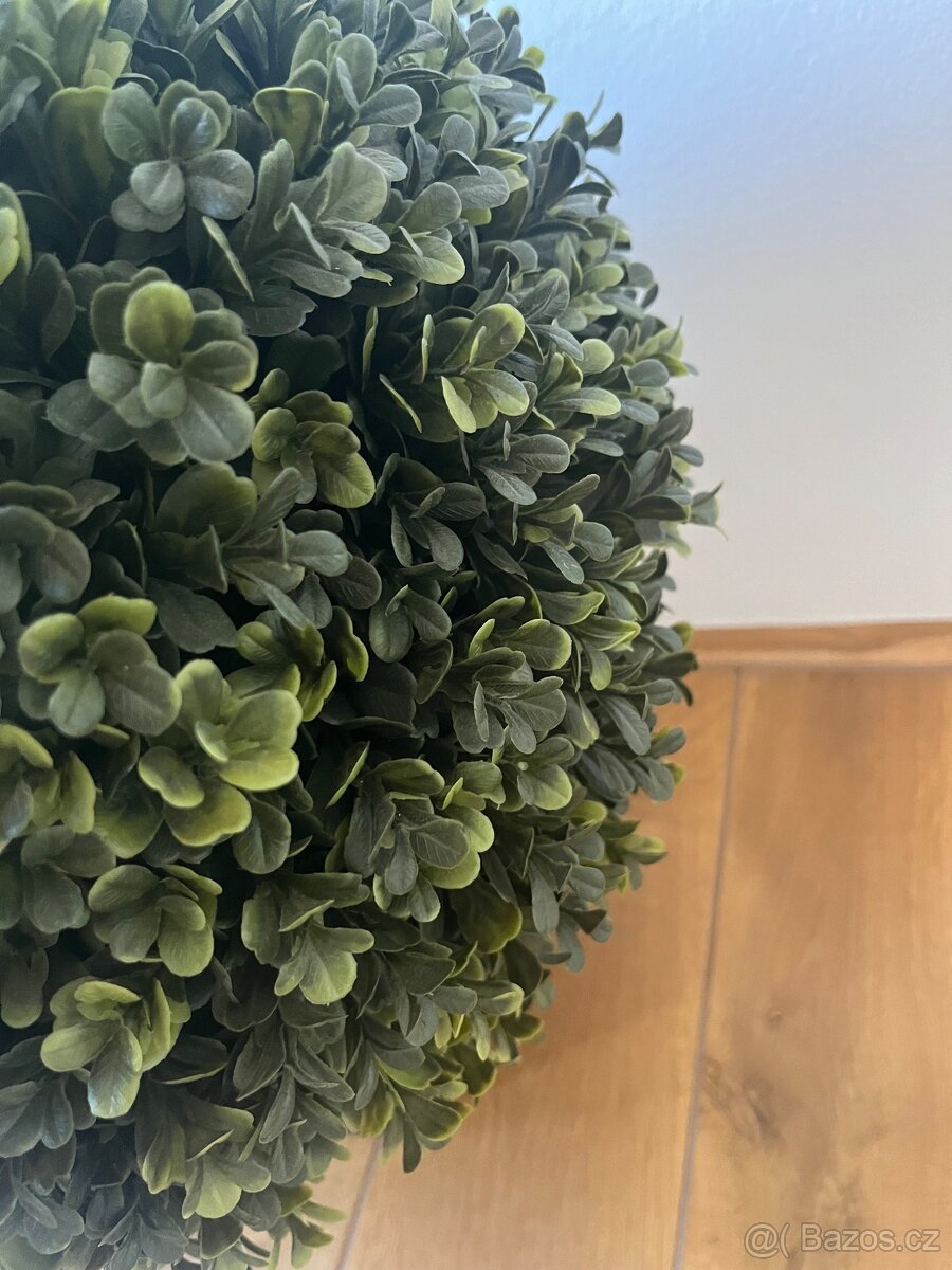 Umělé buxusy - 2