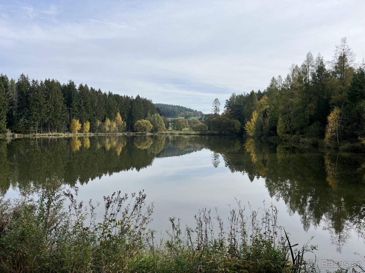 Louka, prodej, Kamberk, Benešov - 2