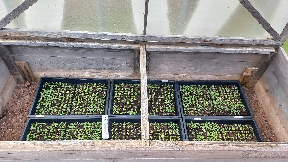 Pěstební tác pro Soilblocker - 15 ks - 2