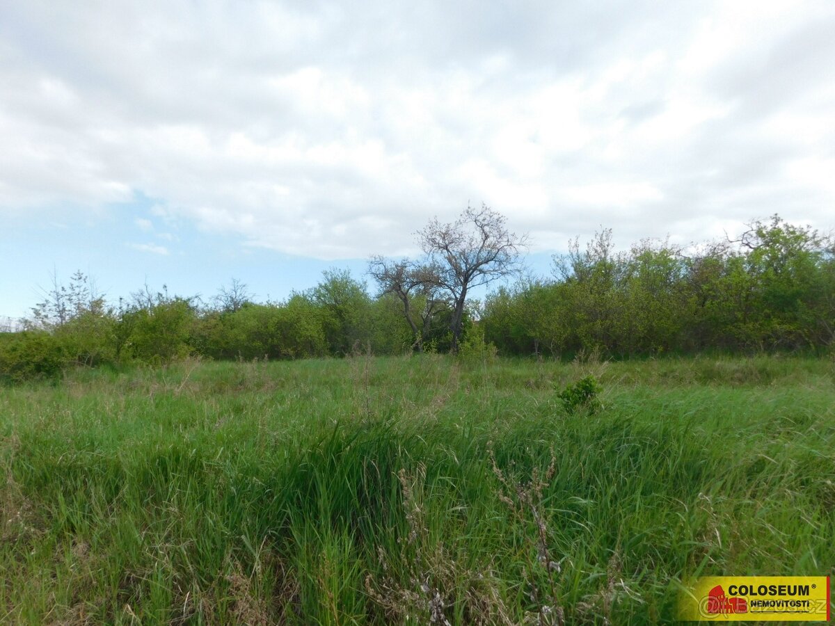 Znojmo, zahrada 473 m2, elektřina, voda, ovocné stromy - zah - 2